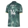 Goedkope Tottenham Hotspur Gray 14 Third Shirt 2024-25 Goedkope Tottenham Hotspur Gray 14 Third Shirt 2024-25
